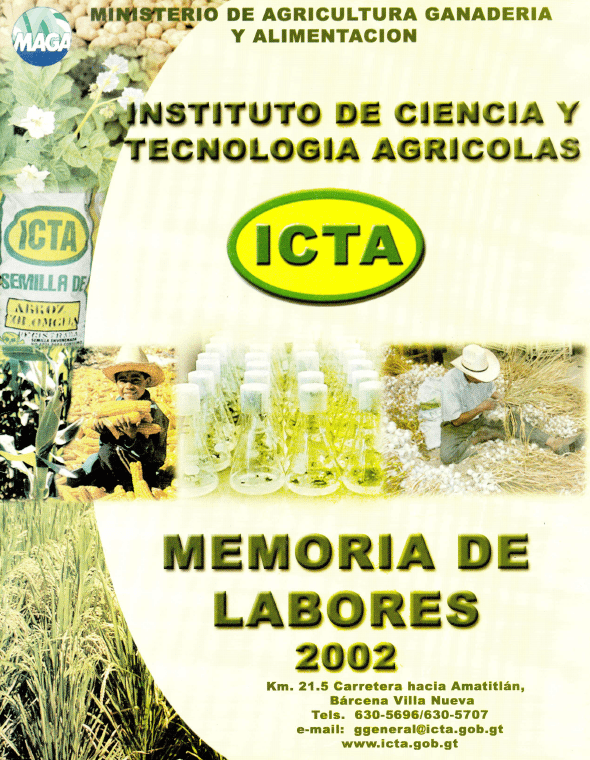 Memoria de Labores ICTA 2002